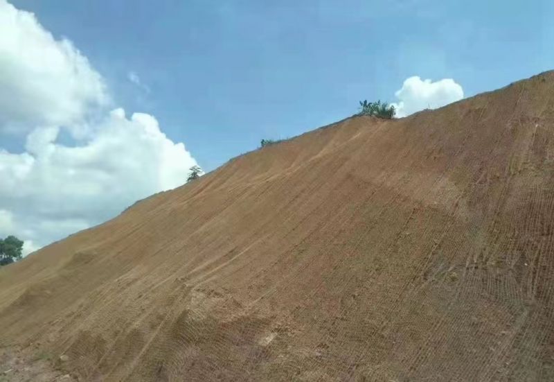 天然椰絲植生毯有哪些特點